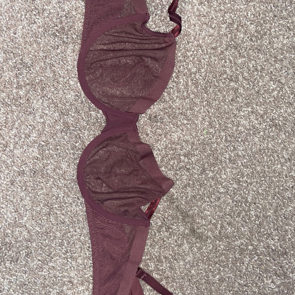 See-Through Burgundy Bra